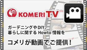 KOMERI TV