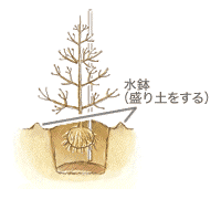 植え込み完成図