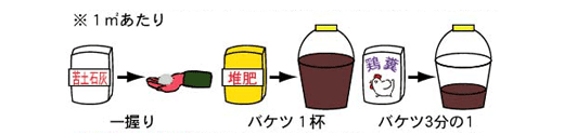 畑の準備