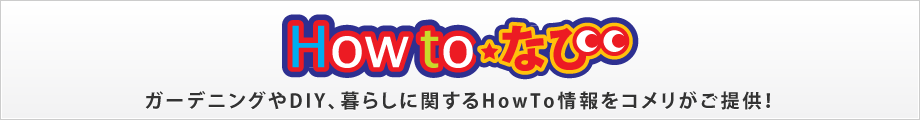 HowtoȂс@K[fjODIYA炵ɊւHowtoR