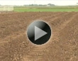 畑の土作り方法