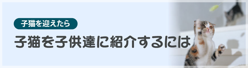 qLqBɏЉɂ