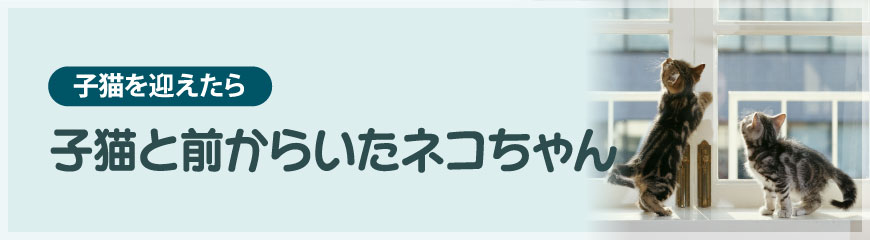 qLƑO炢lR
