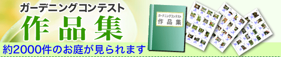 �K�[�f�j���O�R���e�X�g�E��i�W