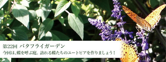 第22回 バタフライガーデン