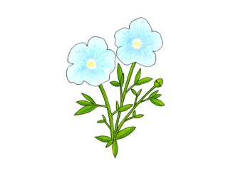 �t���b�N�X