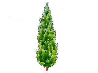 �R�����h�r���N�V���i�u���[�w�u���j