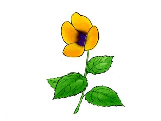�g���j�A �o�C���j�[