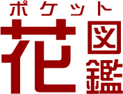 �Ԑ}��