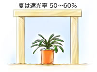 遮光