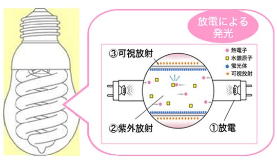 電球形蛍光灯