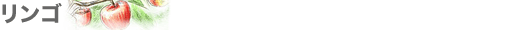 リンゴ