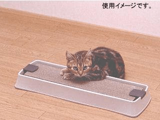 どうしてネコちゃんは爪とぎをするの?