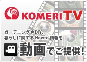 KOMERI TV