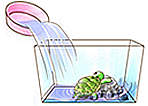 水換え