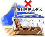 直射日光に注意