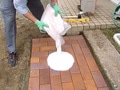 �����K�̕~����