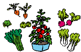 図(野菜)