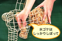 �菇2
