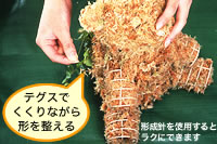 �菇6