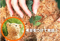 �菇8