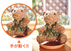 �菇9