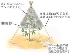 霜よけ・風除け