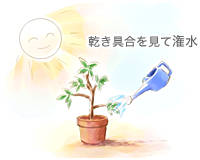 潅水
