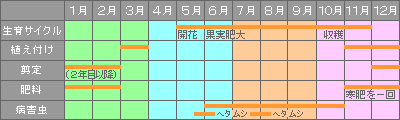 カキ年間カレンダー
