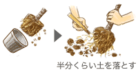 �������炢�y�𗎂Ƃ�