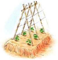 �x���𗧂Ă� �i�����L���E���j