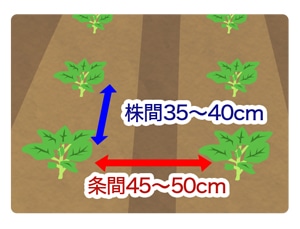 �c�̐A����