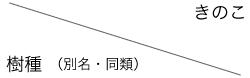 ����i�ʖ��E���ށj/���̂�
