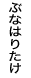 �ԂȂ͂肽��