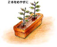 �v�����^�[�ɐA����