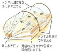 �h��