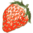 �C�`�S�̃c�u�c�u�́H