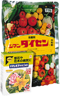 ダイセン