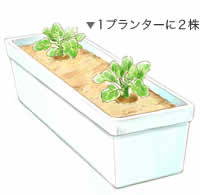 �c�̐A����