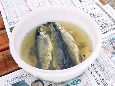 �摜