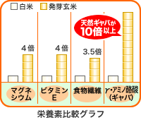 栄養素比較グラフ