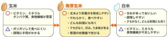 発芽玄米は長所のいいとこどり