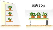 置き場