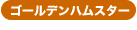 �S�[���f���n���X�^�[