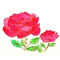 �A�C�R��