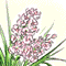 �A�C�R��