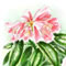 �A�C�R��