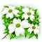 �A�C�R��