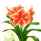 �A�C�R��
