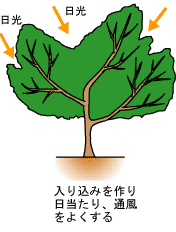 �摜